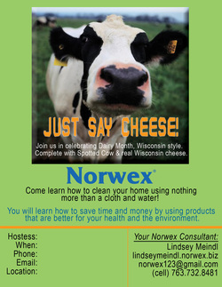 Norwex Dairy Theme Party Wisconsin